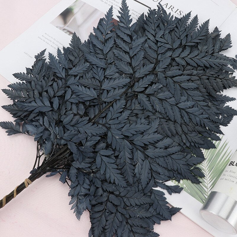 10PCS Dry Natural Fresh Preserved Plant,Eternal Dried Grass,Forever Flowers Leaves For DIY Home Decorative Flower Bouquet wholesale -PAMPAS grass wholesale and dried flowers wholesale near me