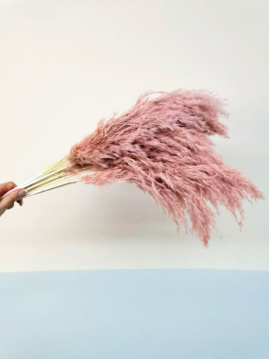 5 STEMS Magenta PAMPAS GRASS - Natural Dried Pampas Grass Decor, Reed Plume, Dry Boho Wedding Flower Arrangement, Tall Bohemian Plant Home Decor -PAMPAS grass wholesale and dried flowers whol