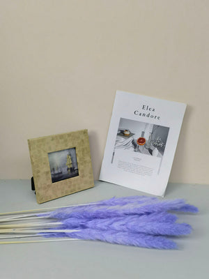 15 stems colorful Pampas Grass 23"-24" | White Pampas Grass | Dried Flowers For Interior Decor | Wedding Floral Decorations | Dyed Pampas Grass -PAMPAS grass wholesale and dried flowers whole
