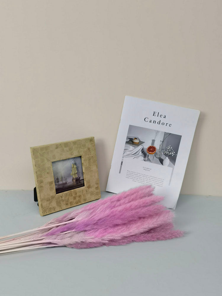 15 stems colorful feathers natural dried reeds  dried flower bouquet small pampas. -PAMPAS grass wholesale and dried flowers wholesale near me