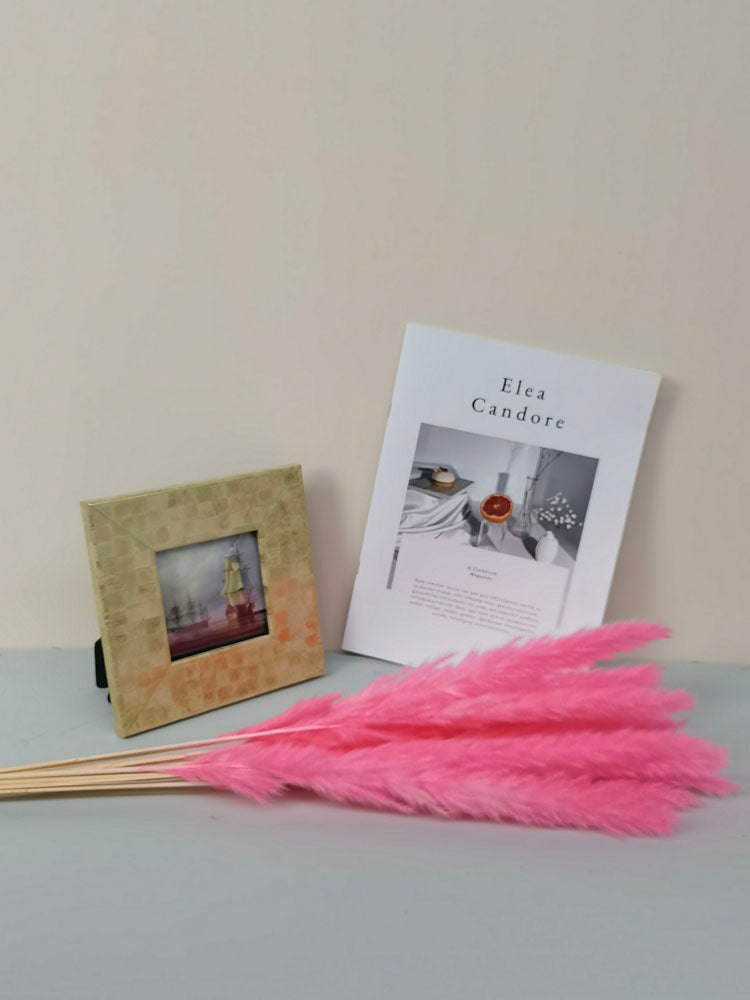 15 stems colorful feathers natural dried reeds  dried flower bouquet small pampas. -PAMPAS grass wholesale and dried flowers wholesale near me