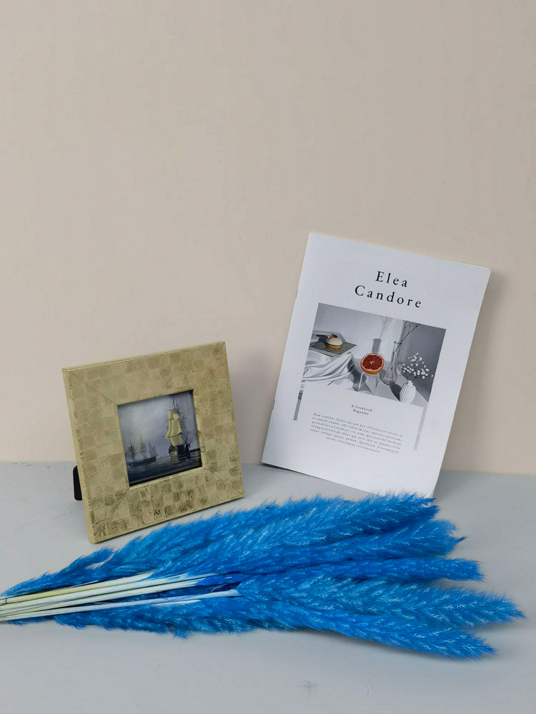 15 stems colorful feathers natural dried reeds  dried flower bouquet small pampas. -PAMPAS grass wholesale and dried flowers wholesale near me