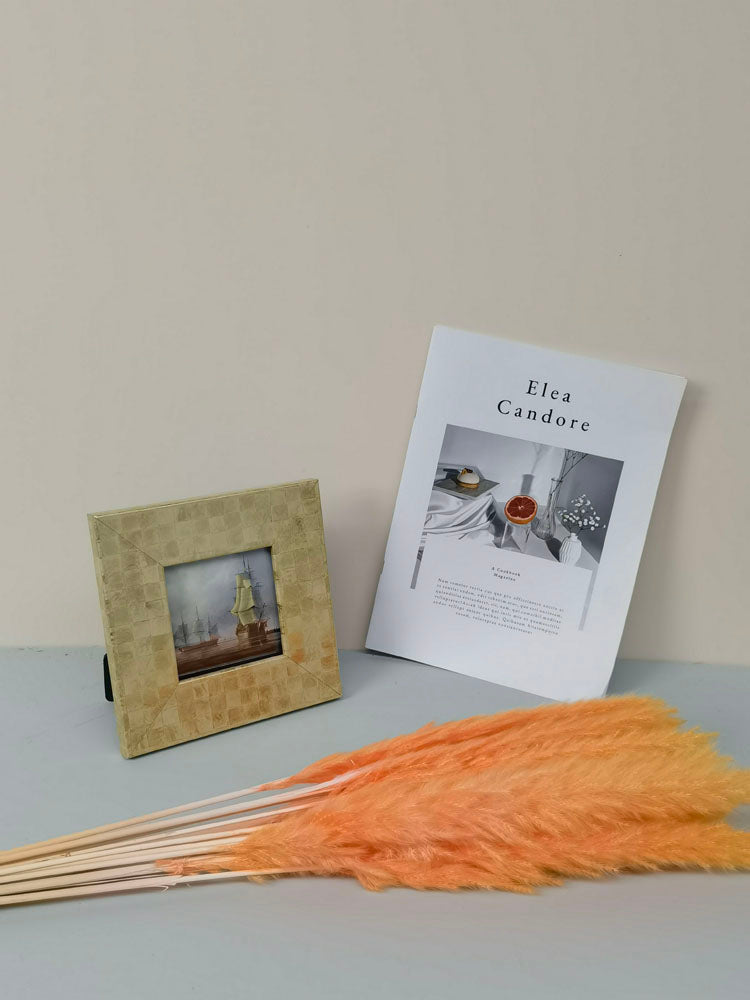 15 stems colorful Pampas Grass 23"-24" | White Pampas Grass | Dried Flowers For Interior Decor | Wedding Floral Decorations | Dyed Pampas Grass -PAMPAS grass wholesale and dried flowers whole