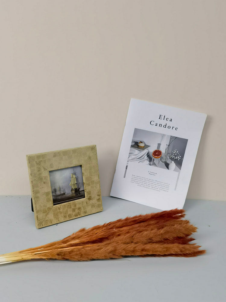 15 stems colorful Pampas Grass 23"-24" | White Pampas Grass | Dried Flowers For Interior Decor | Wedding Floral Decorations | Dyed Pampas Grass -PAMPAS grass wholesale and dried flowers whole