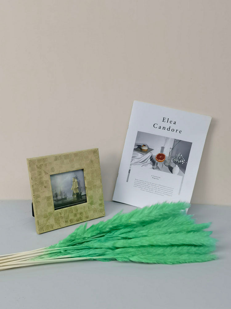 15 stems colorful feathers natural dried reeds  dried flower bouquet small pampas. -PAMPAS grass wholesale and dried flowers wholesale near me