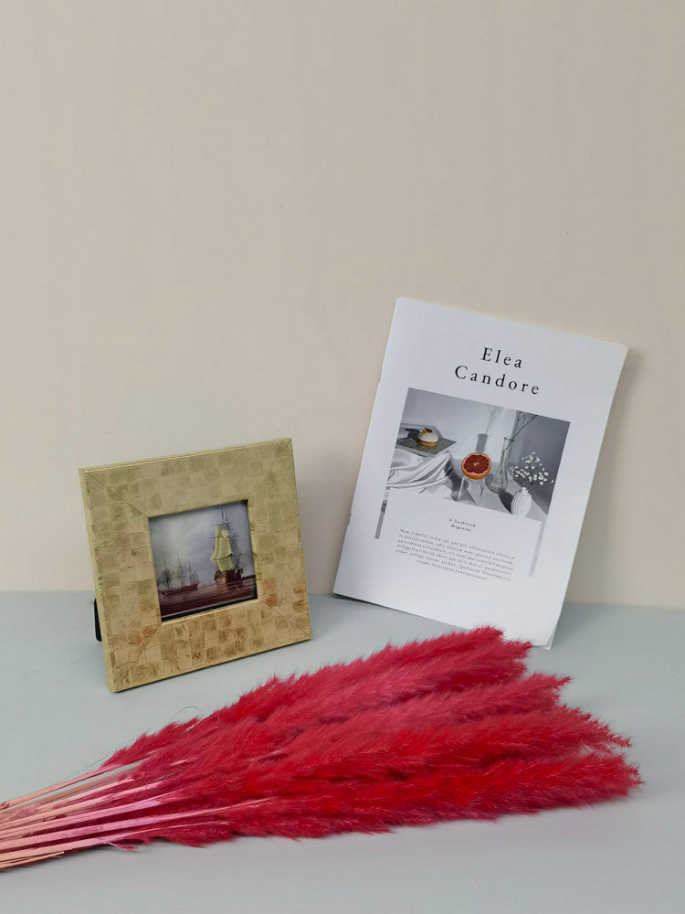 15 stems colorful feathers natural dried reeds  dried flower bouquet small pampas. -PAMPAS grass wholesale and dried flowers wholesale near me