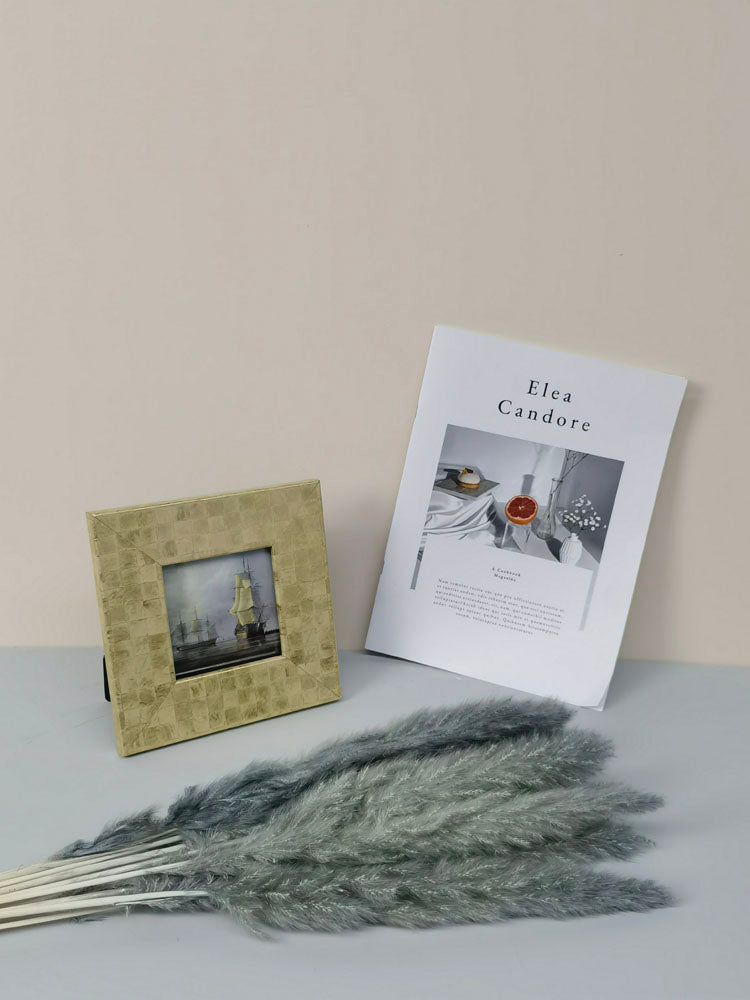 15 stems colorful Pampas Grass 23"-24" | White Pampas Grass | Dried Flowers For Interior Decor | Wedding Floral Decorations | Dyed Pampas Grass -PAMPAS grass wholesale and dried flowers whole