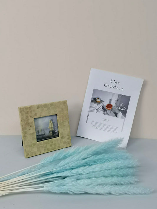 15 stems colorful Pampas Grass 23"-24" | White Pampas Grass | Dried Flowers For Interior Decor | Wedding Floral Decorations | Dyed Pampas Grass -PAMPAS grass wholesale and dried flowers whole