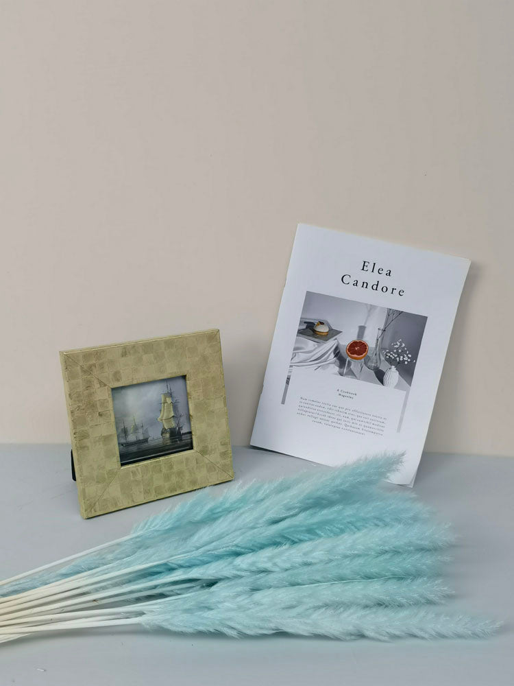 15 stems colorful feathers natural dried reeds  dried flower bouquet small pampas. -PAMPAS grass wholesale and dried flowers wholesale near me