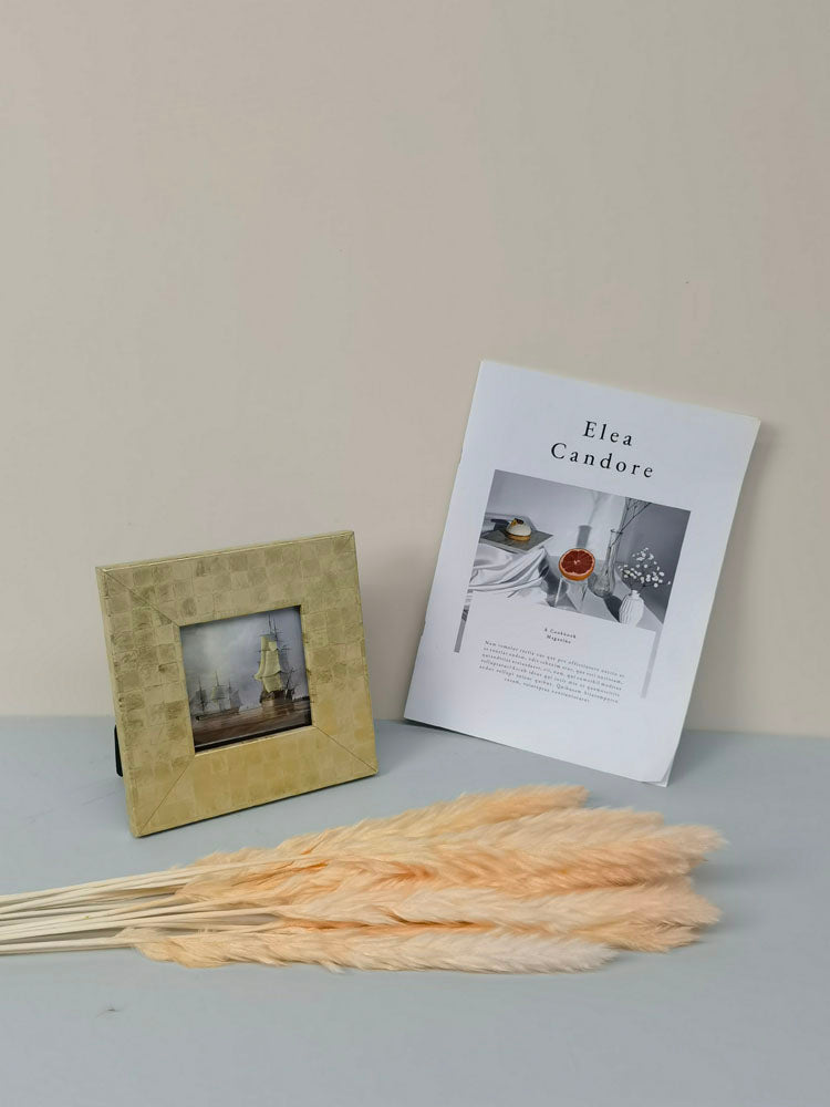 15 stems colorful feathers natural dried reeds  dried flower bouquet small pampas. -PAMPAS grass wholesale and dried flowers wholesale near me