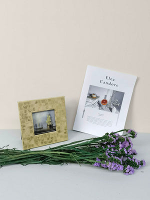 15 stems  natural dried reeds  dried flower bouquet small pampas,home decoration.wedding celebration. -PAMPAS grass wholesale and dried flowers wholesale near me