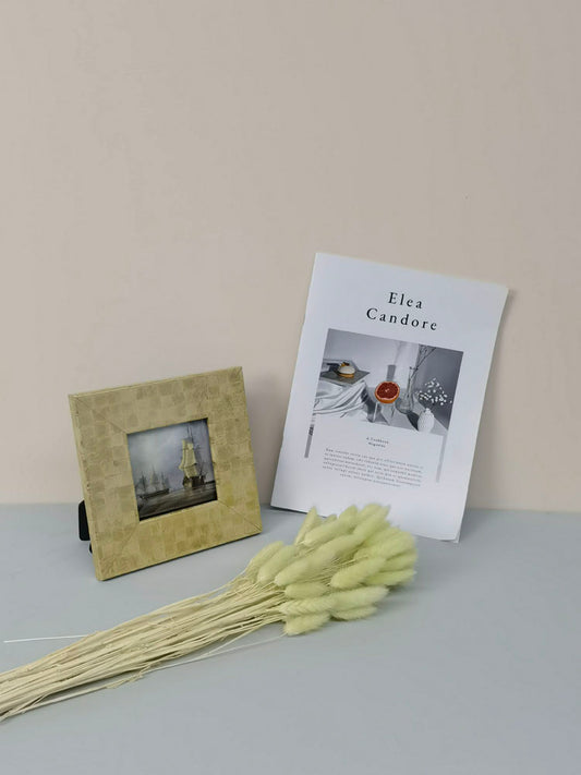 60PcsLot Lagurus Ovatus Dried Flowers Rabbit Tail Pampas Grass Natural Plants Bouquet Home Decor Flores Artificiales Decoration -PAMPAS grass wholesale and dried flowers wholesale near me