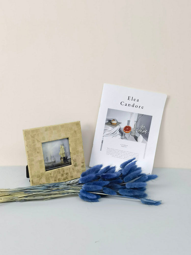 60PcsLot Lagurus Ovatus Dried Flowers Rabbit Tail Pampas Grass Natural Plants Bouquet Home Decor Flores Artificiales Decoration -PAMPAS grass wholesale and dried flowers wholesale near me