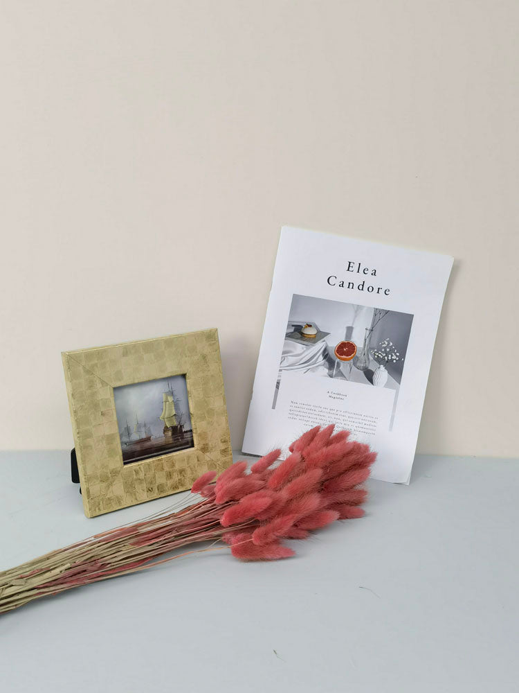 60PcsLot Lagurus Ovatus Dried Flowers Rabbit Tail Pampas Grass Natural Plants Bouquet Home Decor Flores Artificiales Decoration -PAMPAS grass wholesale and dried flowers wholesale near me