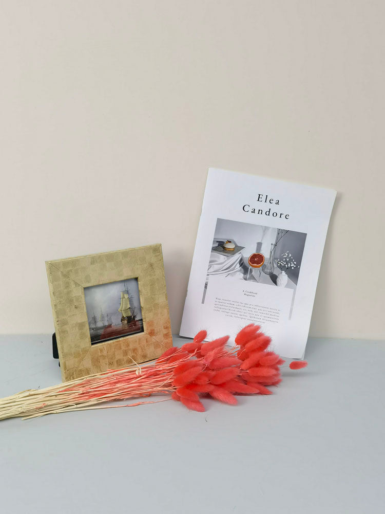 60PcsLot Lagurus Ovatus Dried Flowers Rabbit Tail Pampas Grass Natural Plants Bouquet Home Decor Flores Artificiales Decoration -PAMPAS grass wholesale and dried flowers wholesale near me