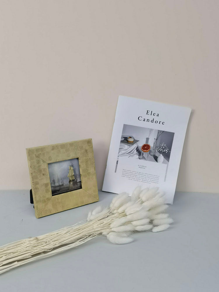 60PcsLot Lagurus Ovatus Dried Flowers Rabbit Tail Pampas Grass Natural Plants Bouquet Home Decor Flores Artificiales Decoration -PAMPAS grass wholesale and dried flowers wholesale near me