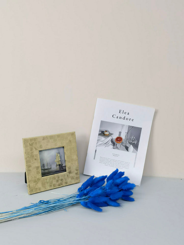 60PcsLot Lagurus Ovatus Dried Flowers Rabbit Tail Pampas Grass Natural Plants Bouquet Home Decor Flores Artificiales Decoration -PAMPAS grass wholesale and dried flowers wholesale near me