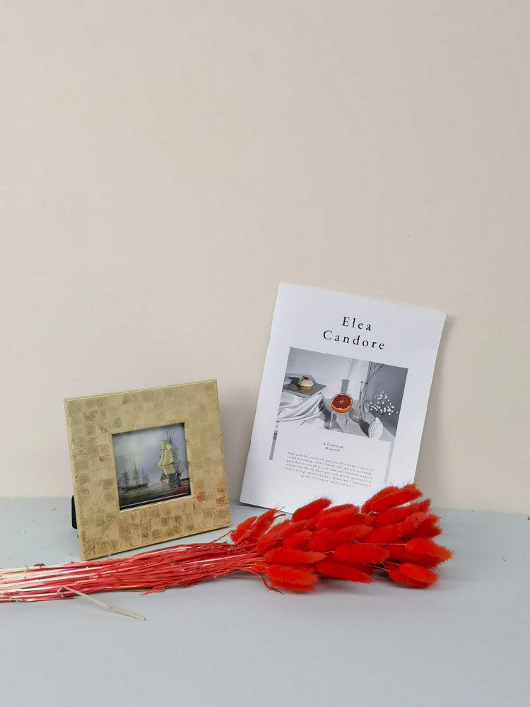 60PcsLot Lagurus Ovatus Dried Flowers Rabbit Tail Pampas Grass Natural Plants Bouquet Home Decor Flores Artificiales Decoration -PAMPAS grass wholesale and dried flowers wholesale near me