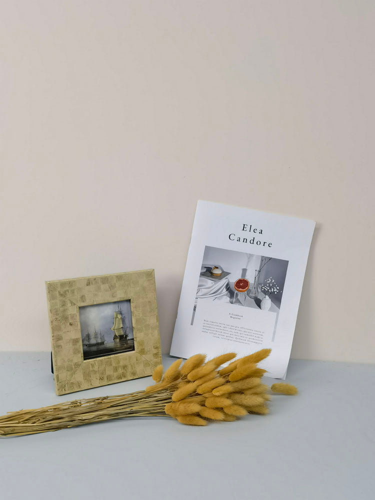 60PcsLot Lagurus Ovatus Dried Flowers Rabbit Tail Pampas Grass Natural Plants Bouquet Home Decor Flores Artificiales Decoration -PAMPAS grass wholesale and dried flowers wholesale near me