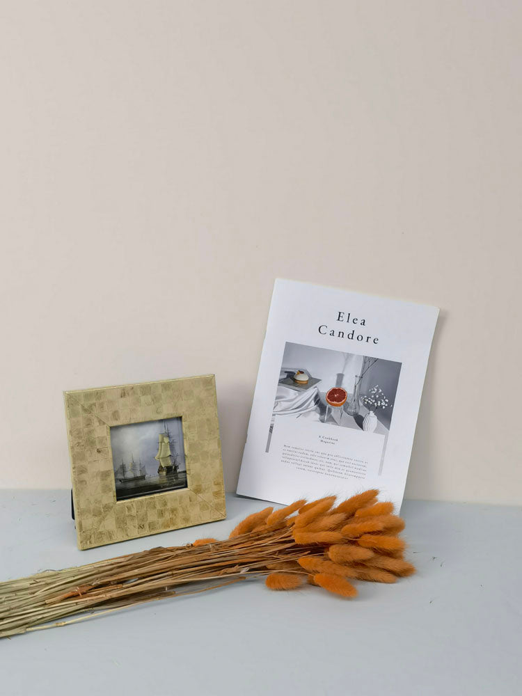 60PcsLot Lagurus Ovatus Dried Flowers Rabbit Tail Pampas Grass Natural Plants Bouquet Home Decor Flores Artificiales Decoration -PAMPAS grass wholesale and dried flowers wholesale near me