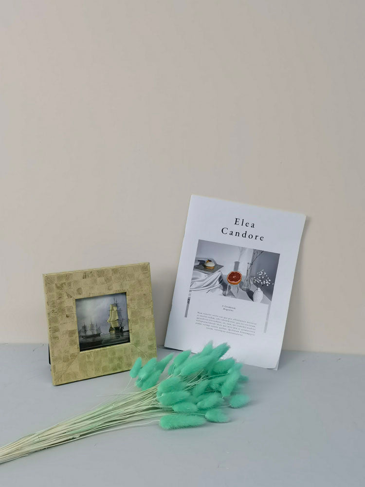 60PcsLot Lagurus Ovatus Dried Flowers Rabbit Tail Pampas Grass Natural Plants Bouquet Home Decor Flores Artificiales Decoration -PAMPAS grass wholesale and dried flowers wholesale near me