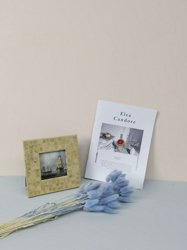 60PcsLot Lagurus Ovatus Dried Flowers Rabbit Tail Pampas Grass Natural Plants Bouquet Home Decor Flores Artificiales Decoration -PAMPAS grass wholesale and dried flowers wholesale near me