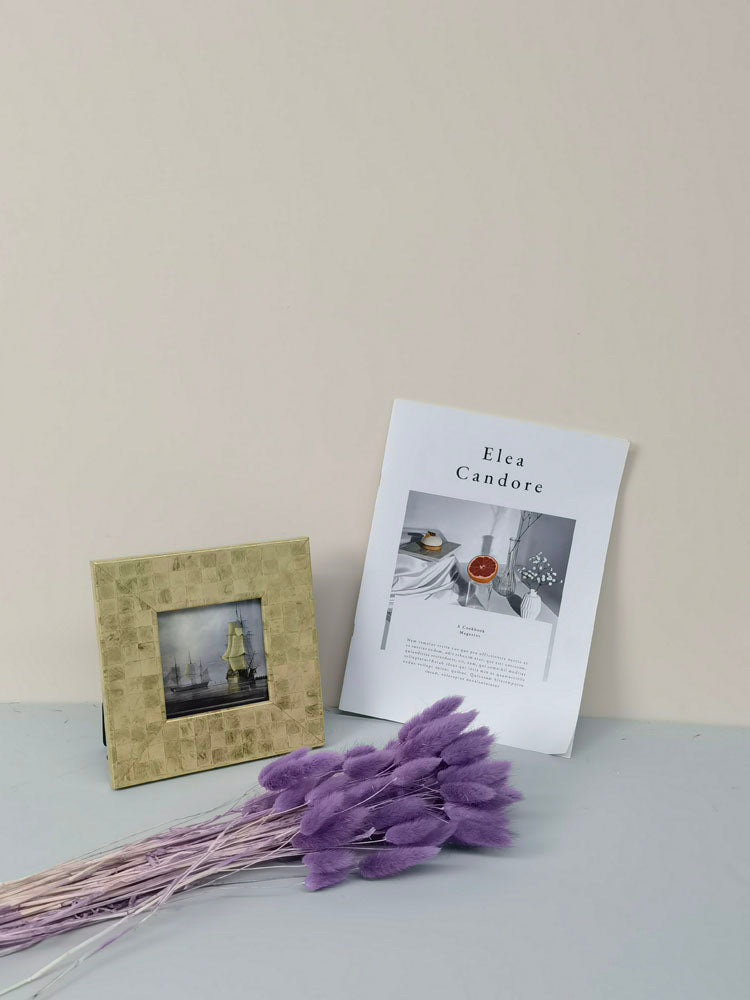 60PcsLot Lagurus Ovatus Dried Flowers Rabbit Tail Pampas Grass Natural Plants Bouquet Home Decor Flores Artificiales Decoration -PAMPAS grass wholesale and dried flowers wholesale near me