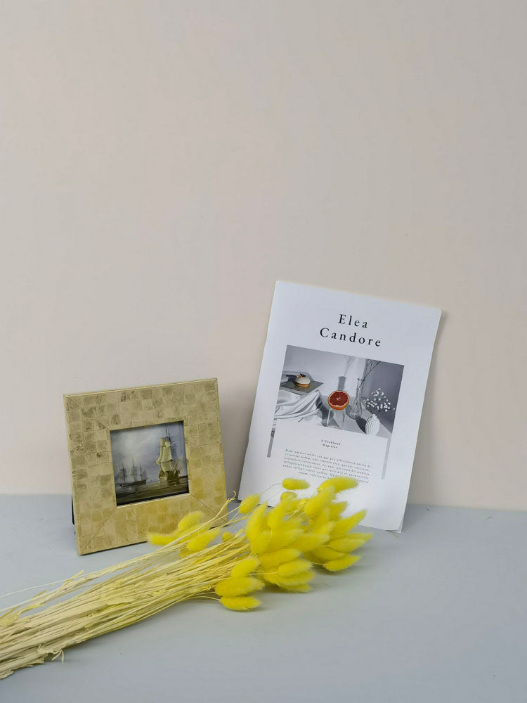 60PcsLot Lagurus Ovatus Dried Flowers Rabbit Tail Pampas Grass Natural Plants Bouquet Home Decor Flores Artificiales Decoration -PAMPAS grass wholesale and dried flowers wholesale near me