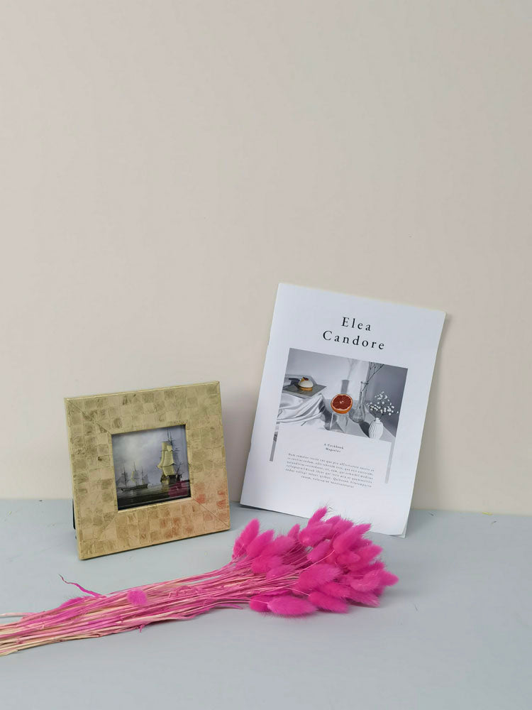 60PcsLot Lagurus Ovatus Dried Flowers Rabbit Tail Pampas Grass Natural Plants Bouquet Home Decor Flores Artificiales Decoration -PAMPAS grass wholesale and dried flowers wholesale near me