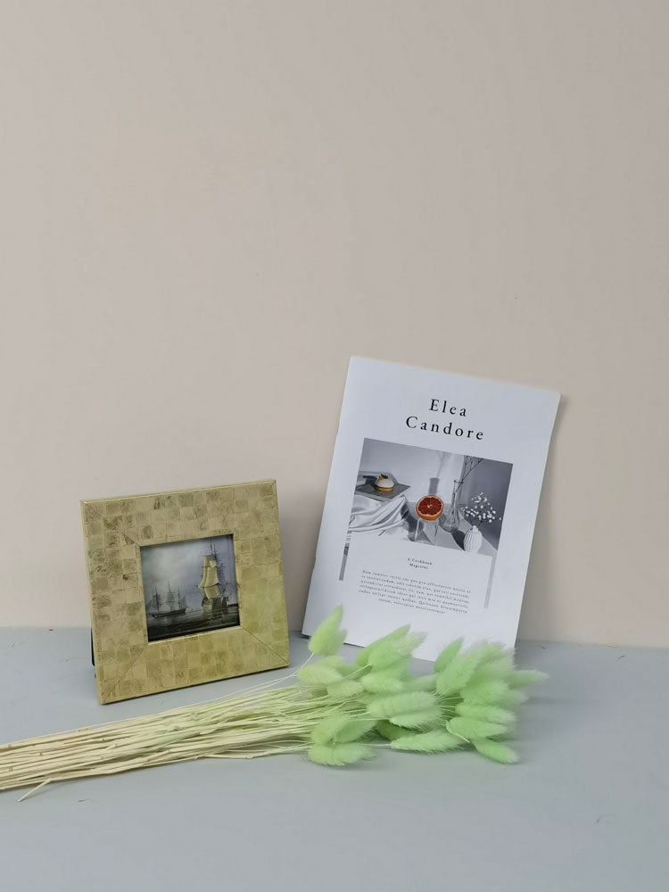 60PcsLot Lagurus Ovatus Dried Flowers Rabbit Tail Pampas Grass Natural Plants Bouquet Home Decor Flores Artificiales Decoration -PAMPAS grass wholesale and dried flowers wholesale near me