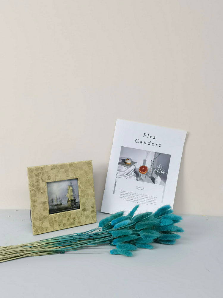 60PcsLot Lagurus Ovatus Dried Flowers Rabbit Tail Pampas Grass Natural Plants Bouquet Home Decor Flores Artificiales Decoration -PAMPAS grass wholesale and dried flowers wholesale near me