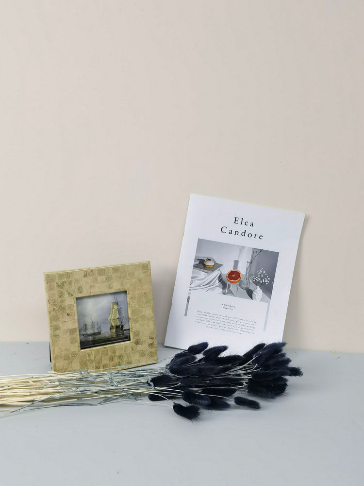 60PcsLot Lagurus Ovatus Dried Flowers Rabbit Tail Pampas Grass Natural Plants Bouquet Home Decor Flores Artificiales Decoration -PAMPAS grass wholesale and dried flowers wholesale near me