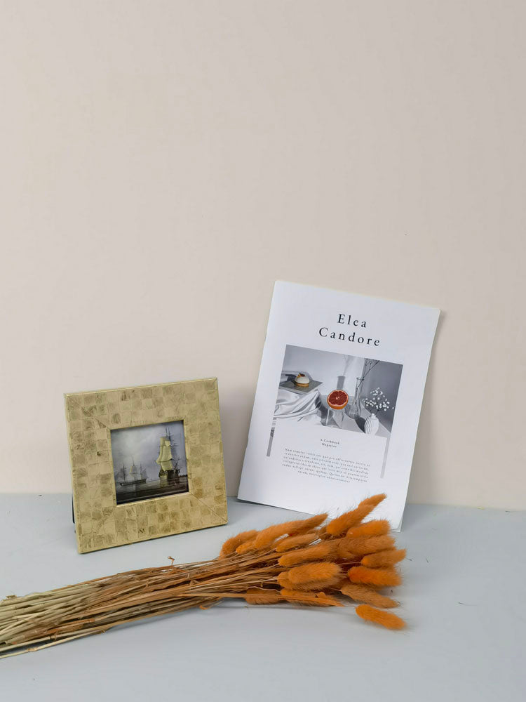 60PcsLot Lagurus Ovatus Dried Flowers Rabbit Tail Pampas Grass Natural Plants Bouquet Home Decor Flores Artificiales Decoration -PAMPAS grass wholesale and dried flowers wholesale near me