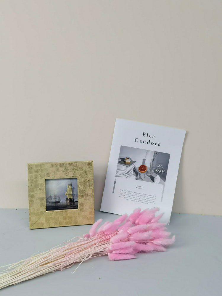 60PcsLot Lagurus Ovatus Dried Flowers Rabbit Tail Pampas Grass Natural Plants Bouquet Home Decor Flores Artificiales Decoration -PAMPAS grass wholesale and dried flowers wholesale near me