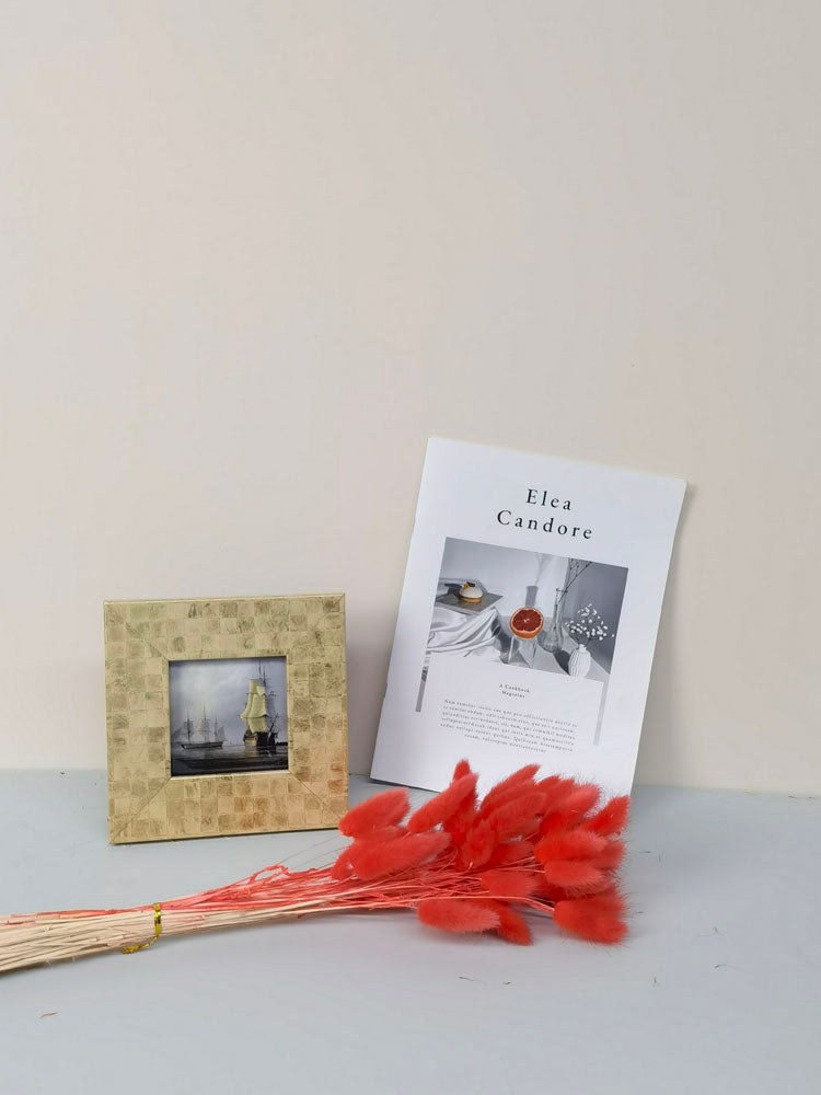 60PcsLot Lagurus Ovatus Dried Flowers Rabbit Tail Pampas Grass Natural Plants Bouquet Home Decor Flores Artificiales Decoration -PAMPAS grass wholesale and dried flowers wholesale near me