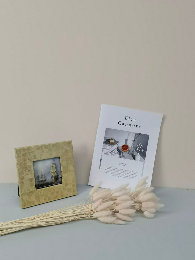 60PcsLot Lagurus Ovatus Dried Flowers Rabbit Tail Pampas Grass Natural Plants Bouquet Home Decor Flores Artificiales Decoration -PAMPAS grass wholesale and dried flowers wholesale near me