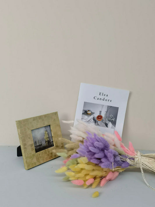 60PcsLot Lagurus Ovatus Dried Flowers Rabbit Tail Pampas Grass Natural Plants Bouquet Home Decor Flores Artificiales Decoration -PAMPAS grass wholesale and dried flowers wholesale near me