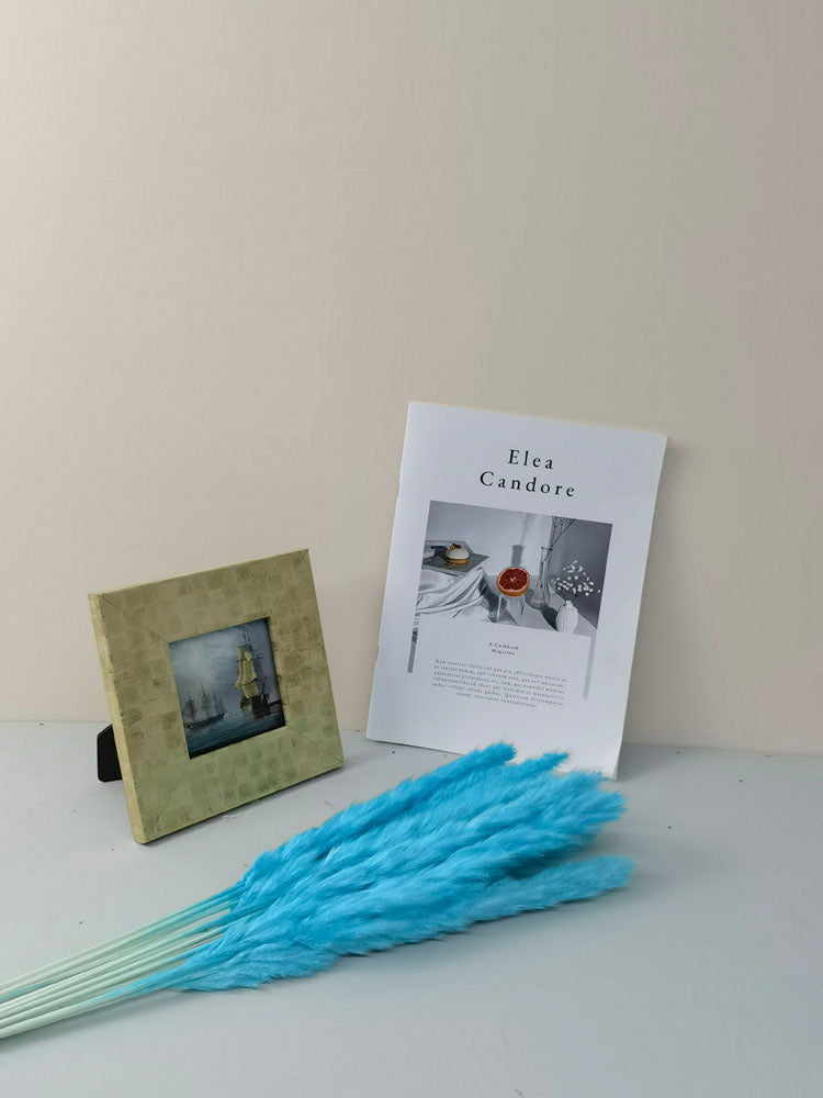 15 stems colorful Pampas Grass 23"-24" | White Pampas Grass | Dried Flowers For Interior Decor | Wedding Floral Decorations | Dyed Pampas Grass -PAMPAS grass wholesale and dried flowers whole