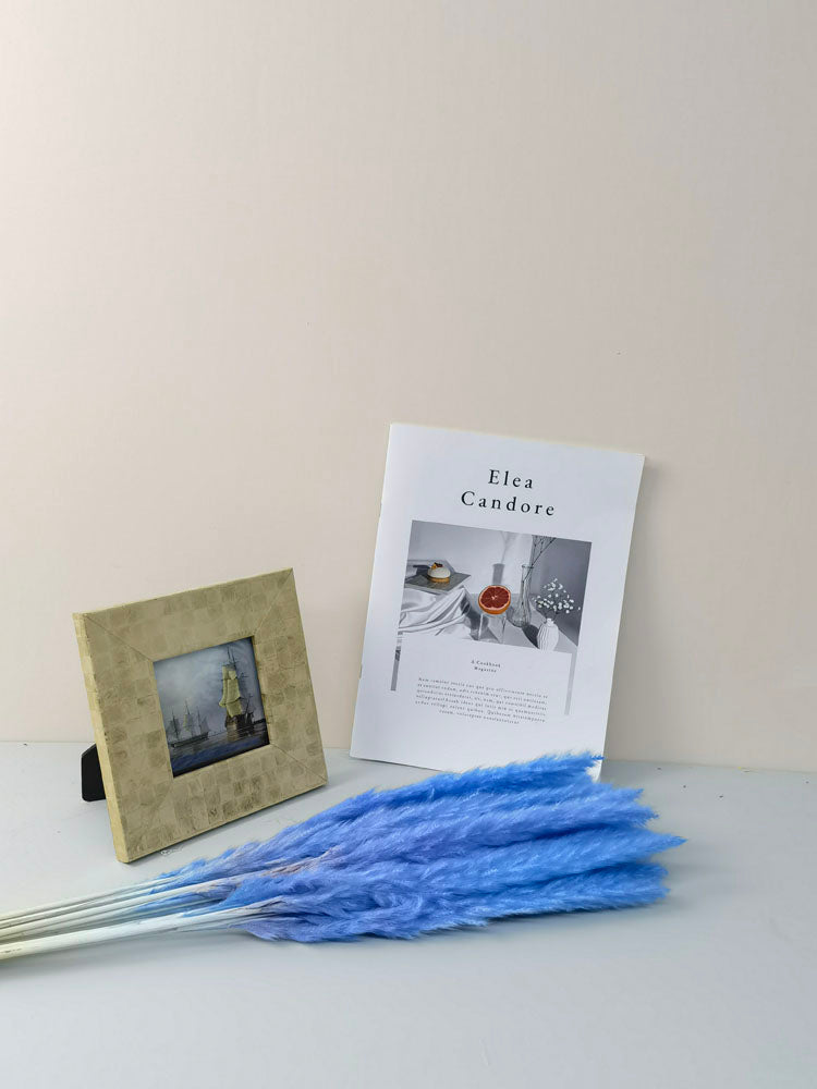 15 stems colorful Pampas Grass 23"-24" | White Pampas Grass | Dried Flowers For Interior Decor | Wedding Floral Decorations | Dyed Pampas Grass -PAMPAS grass wholesale and dried flowers whole