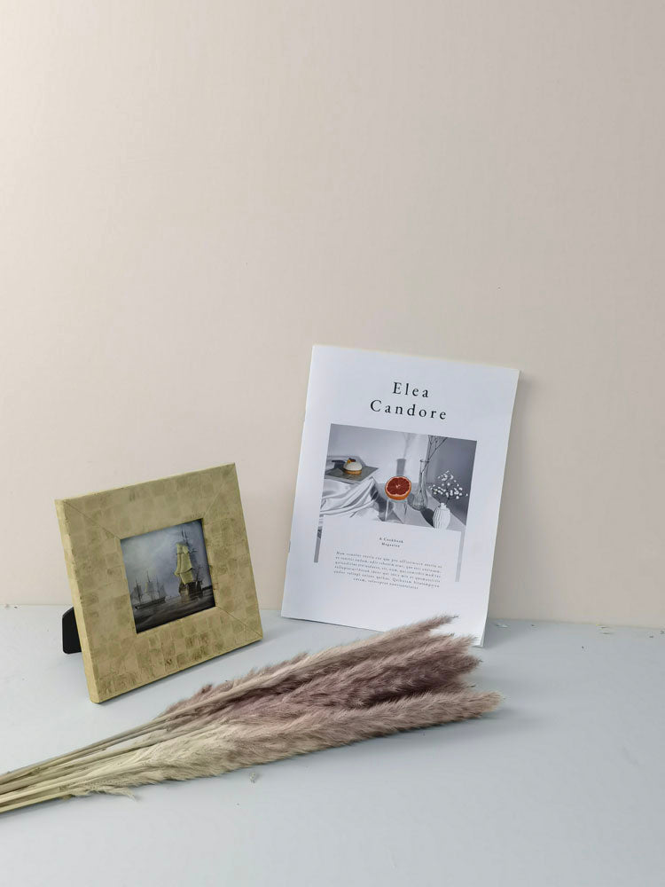 15 stems colorful Pampas Grass 23"-24" | White Pampas Grass | Dried Flowers For Interior Decor | Wedding Floral Decorations | Dyed Pampas Grass -PAMPAS grass wholesale and dried flowers whole