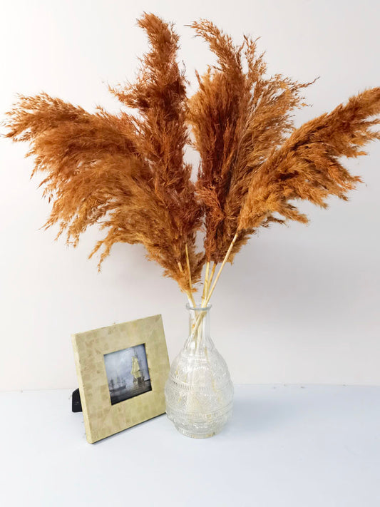 5 STEMS Magenta PAMPAS GRASS - Natural Dried Pampas Grass Decor, Reed Plume, Dry Boho Wedding Flower Arrangement, Tall Bohemian Plant Home Decor -PAMPAS grass wholesale and dried flowers whol