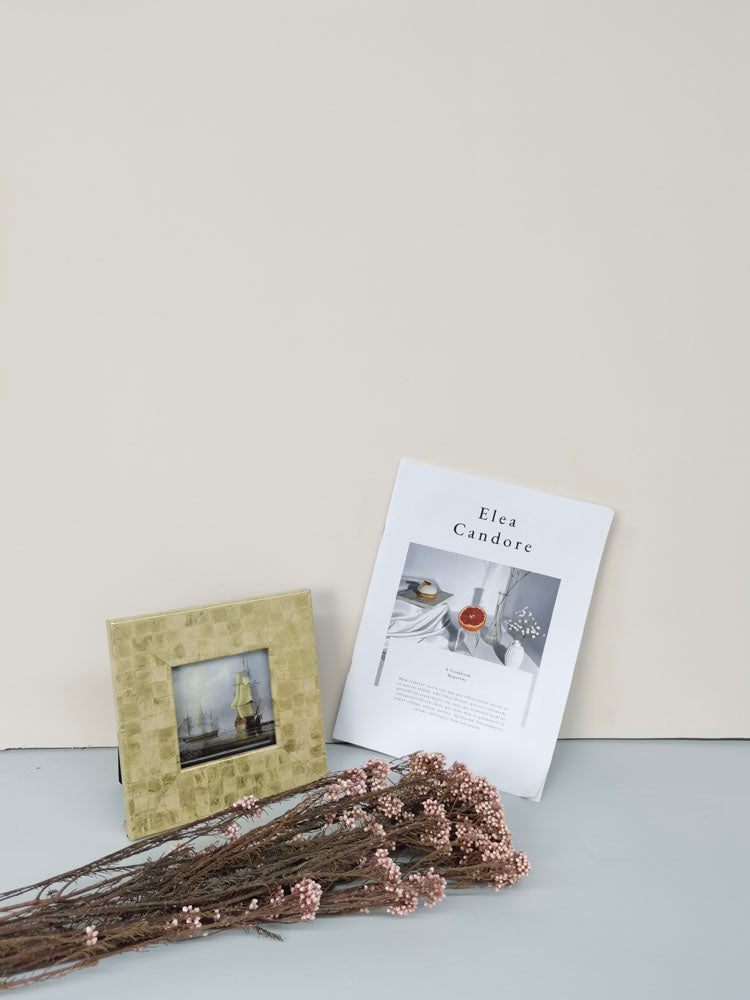 Precious Millet bundle (12pcs),home decoration,Christmas,Wedding Celebration. -PAMPAS grass wholesale and dried flowers wholesale near me