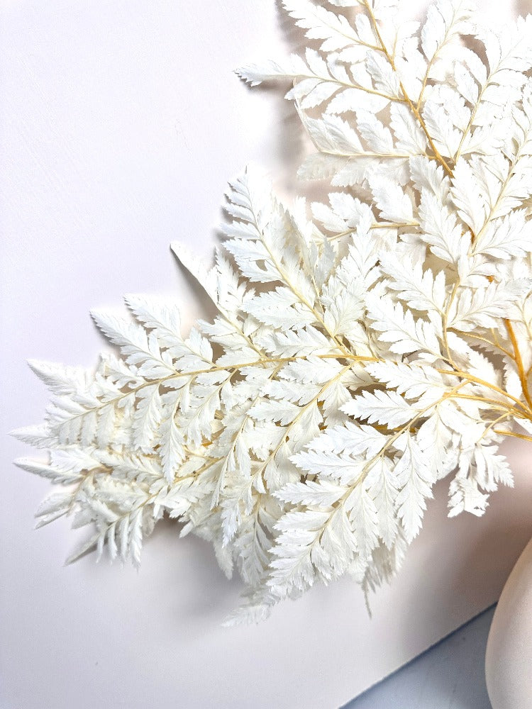 10PCS Dry Natural Fresh Preserved Plant,Eternal Dried Grass,Forever Flowers Leaves For DIY Home Decorative Flower Bouquet wholesale -PAMPAS grass wholesale and dried flowers wholesale near me