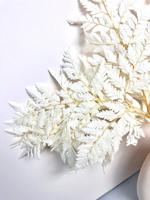 10PCS Dry Natural Fresh Preserved Plant,Eternal Dried Grass,Forever Flowers Leaves For DIY Home Decorative Flower Bouquet wholesale -PAMPAS grass wholesale and dried flowers wholesale near me