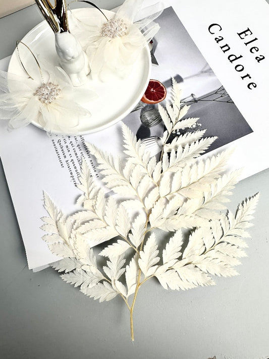 10PCS Dry Natural Fresh Preserved Plant,Eternal Dried Grass,Forever Flowers Leaves For DIY Home Decorative Flower Bouquet wholesale -PAMPAS grass wholesale and dried flowers wholesale near me