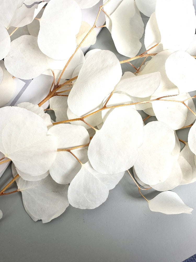 Immortal apple leaves, indoor flower arrangement, wedding celebration,home decoration. -PAMPAS grass wholesale and dried flowers wholesale near me