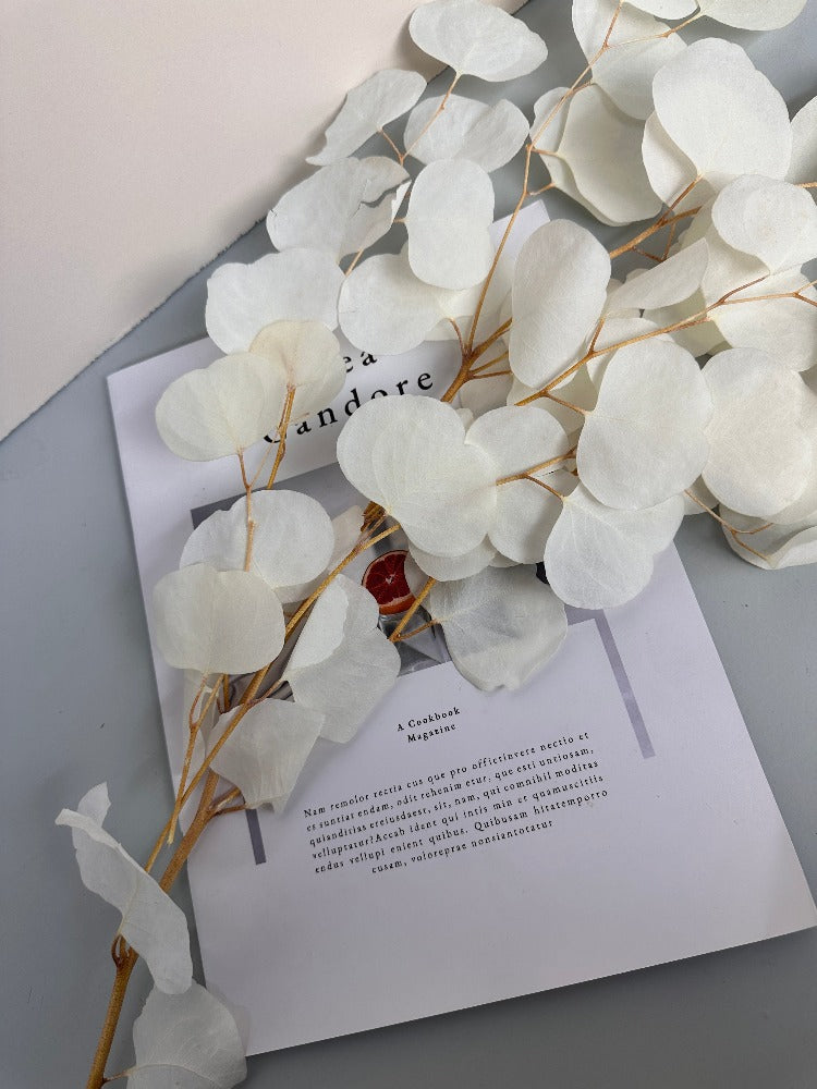 Immortal apple leaves, indoor flower arrangement, wedding celebration,home decoration. -PAMPAS grass wholesale and dried flowers wholesale near me