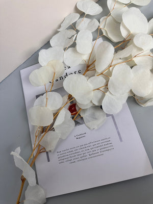 Immortal apple leaves, indoor flower arrangement, wedding celebration,home decoration. -PAMPAS grass wholesale and dried flowers wholesale near me