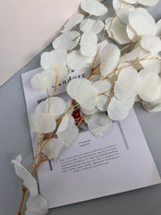 Immortal apple leaves, indoor flower arrangement, wedding celebration,home decoration. -PAMPAS grass wholesale and dried flowers wholesale near me