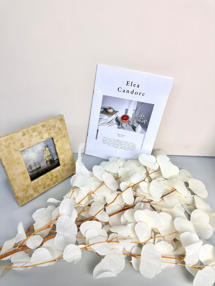 Immortal apple leaves, indoor flower arrangement, wedding celebration,home decoration. -PAMPAS grass wholesale and dried flowers wholesale near me